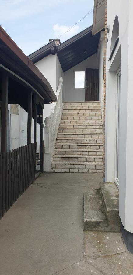 Apartmani Diksi 兹雷尼亚宁 外观 照片
