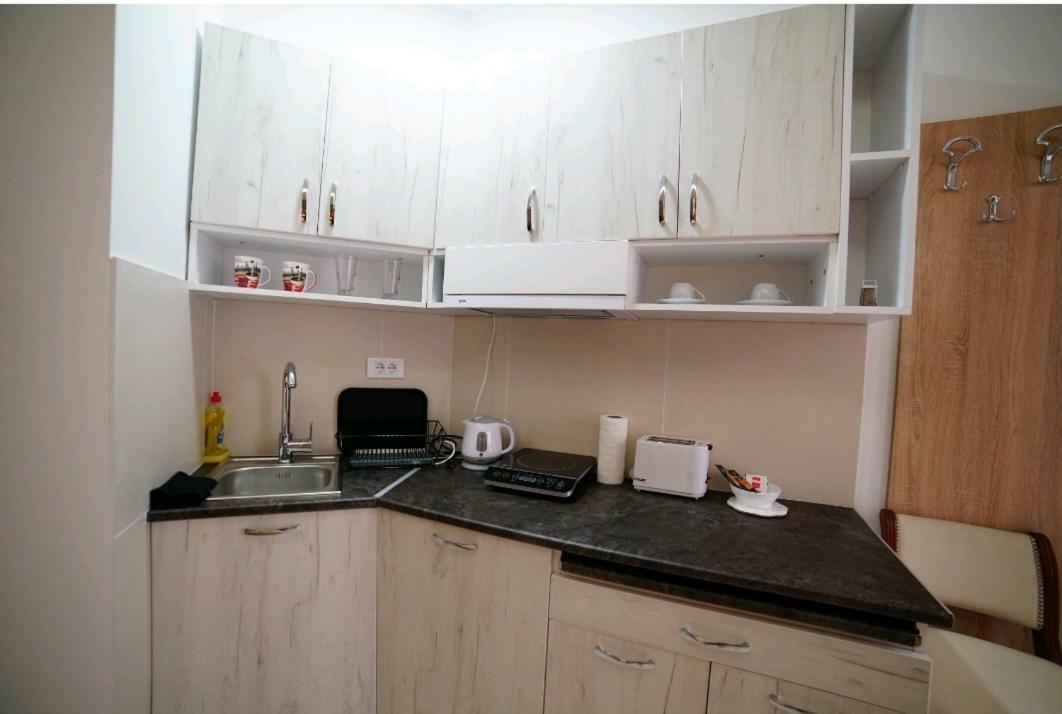 Apartmani Diksi 兹雷尼亚宁 外观 照片